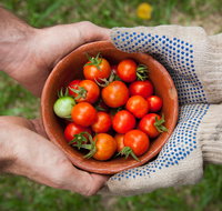 Riverina Producers Market - QLD Tourism