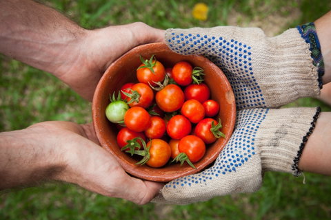 Riverina Producers Market - QLD Tourism 0