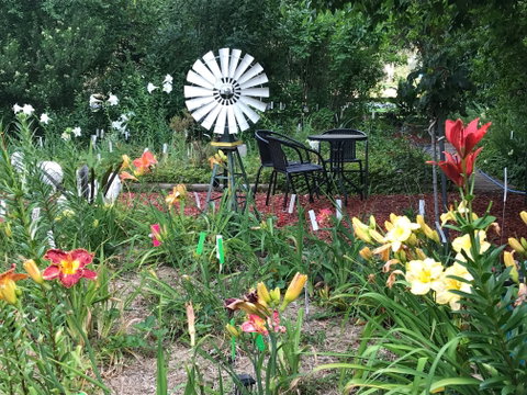 Riverina Iris Farm Open Garden And Iris Display - QLD Tourism 2