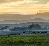 Rotary Club of Maffra Community Market - QLD Tourism