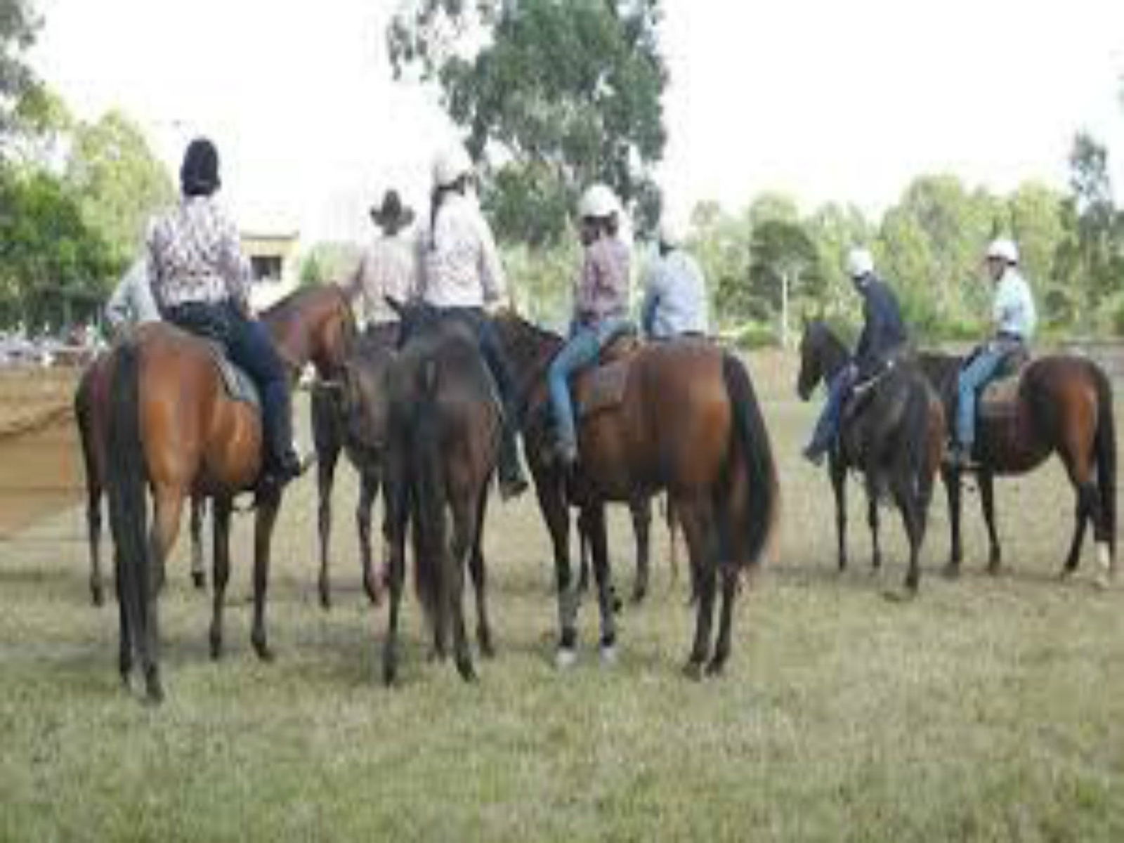 Allworth NSW Queensland Tourism