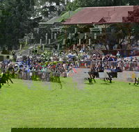 Tumut Boxing Day Races - Queensland Tourism