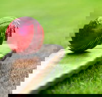 Under 13 14 15 Cricket Youth Championships