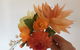 Wafer Paper Flower Class: Autumn Flowers - thumb 0