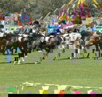 Wangaratta Show - QLD Tourism