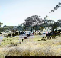 Weddin Mountain Muster