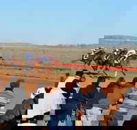 2020 Quorn Cup - QLD Tourism