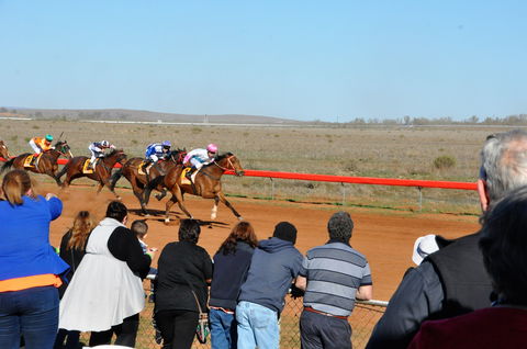 2020 Quorn Cup - QLD Tourism 0