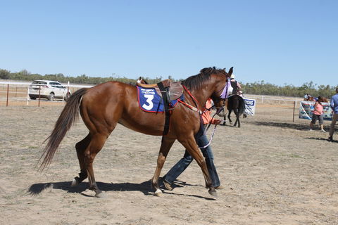 Annual Prairie Races - QLD Tourism 2