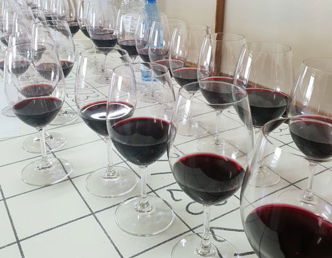 Australian Cool Climate Wine Show - QLD Tourism 1