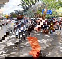 Australian National Busking Championships - QLD Tourism