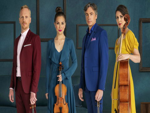 Australian String Quartet Dungog Weekend Of Music - QLD Tourism 0