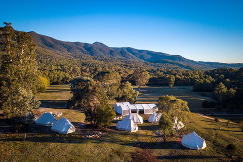 A Wild Night Out - Spring - QLD Tourism 5