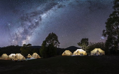 A Wild Night Out - Spring - QLD Tourism 6