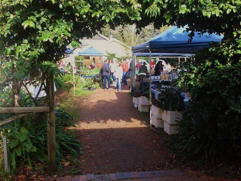 Berry Produce Market - Queensland Tourism 0