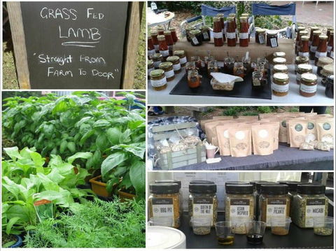 Berry Produce Market - Queensland Tourism 1