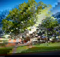 Big Bat Wildlife and Eco Festival - QLD Tourism