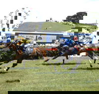 Bong Bong Picnic Races - Queensland Tourism