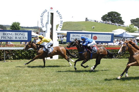 Bong Bong Picnic Races - Queensland Tourism 0