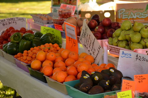 Centenary Park Charity Markets - Queensland Tourism 0