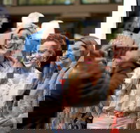 CinefestOZ Film Festival - QLD Tourism