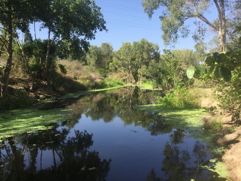 Conservation Volunteers Australia Townsville - Creekwatch - QLD Tourism 0