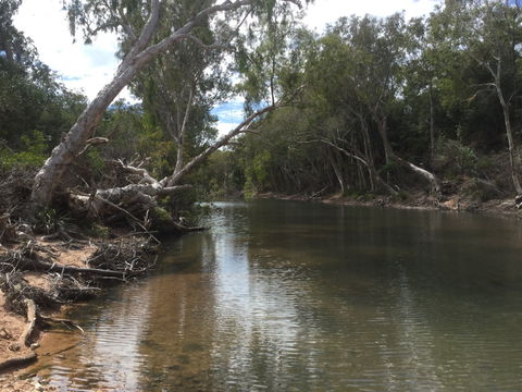 Conservation Volunteers Australia Townsville - Creekwatch - QLD Tourism 2