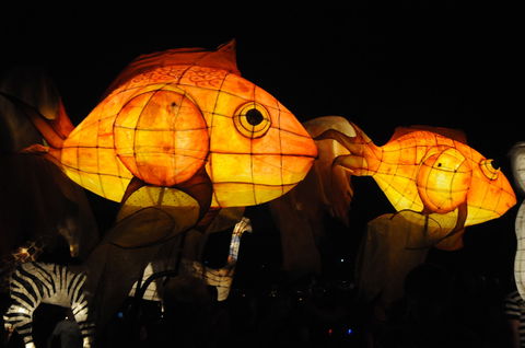 DREAM Festival: Music And Markets Event - QLD Tourism 2