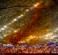 Festivale - QLD Tourism