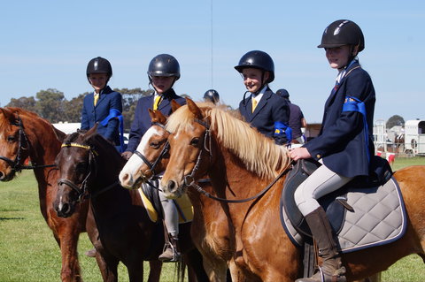 Hay Agricultural Show - Queensland Tourism 0