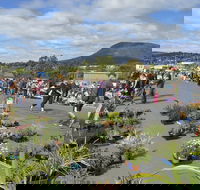 Hobart Showground Sunday Market - Weekly - QLD Tourism