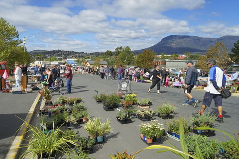 Hobart Showground Sunday Market - Weekly - QLD Tourism 0