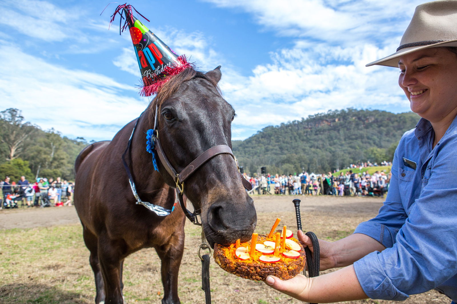 Calga NSW Queensland Tourism