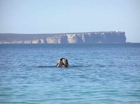 Jervis Bay's Sydney To Hobart Experience - Queensland Tourism 0
