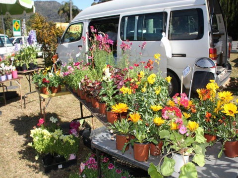Johns River Country Markets - Queensland Tourism 0