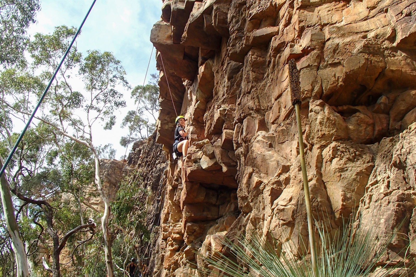 Woodforde SA Queensland Tourism