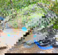 Jungle Love Festival - QLD Tourism