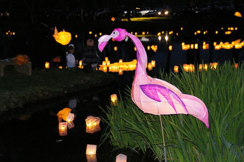 Lanterns On The Lagoon - Queensland Tourism 1