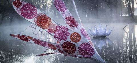 Lanterns On The Lagoon - Queensland Tourism 2