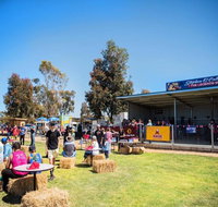 Mathoura Speed Shear and Annual Cancer Fundraiser - QLD Tourism