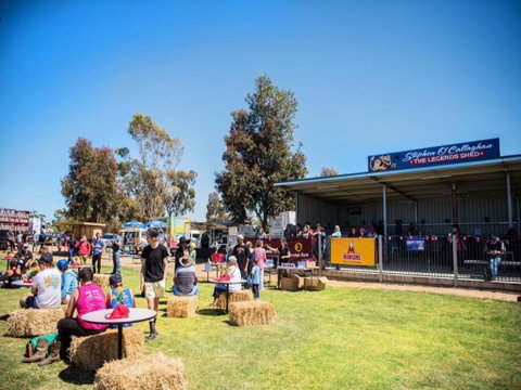 Mathoura Speed Shear And Annual Cancer Fundraiser - QLD Tourism 0