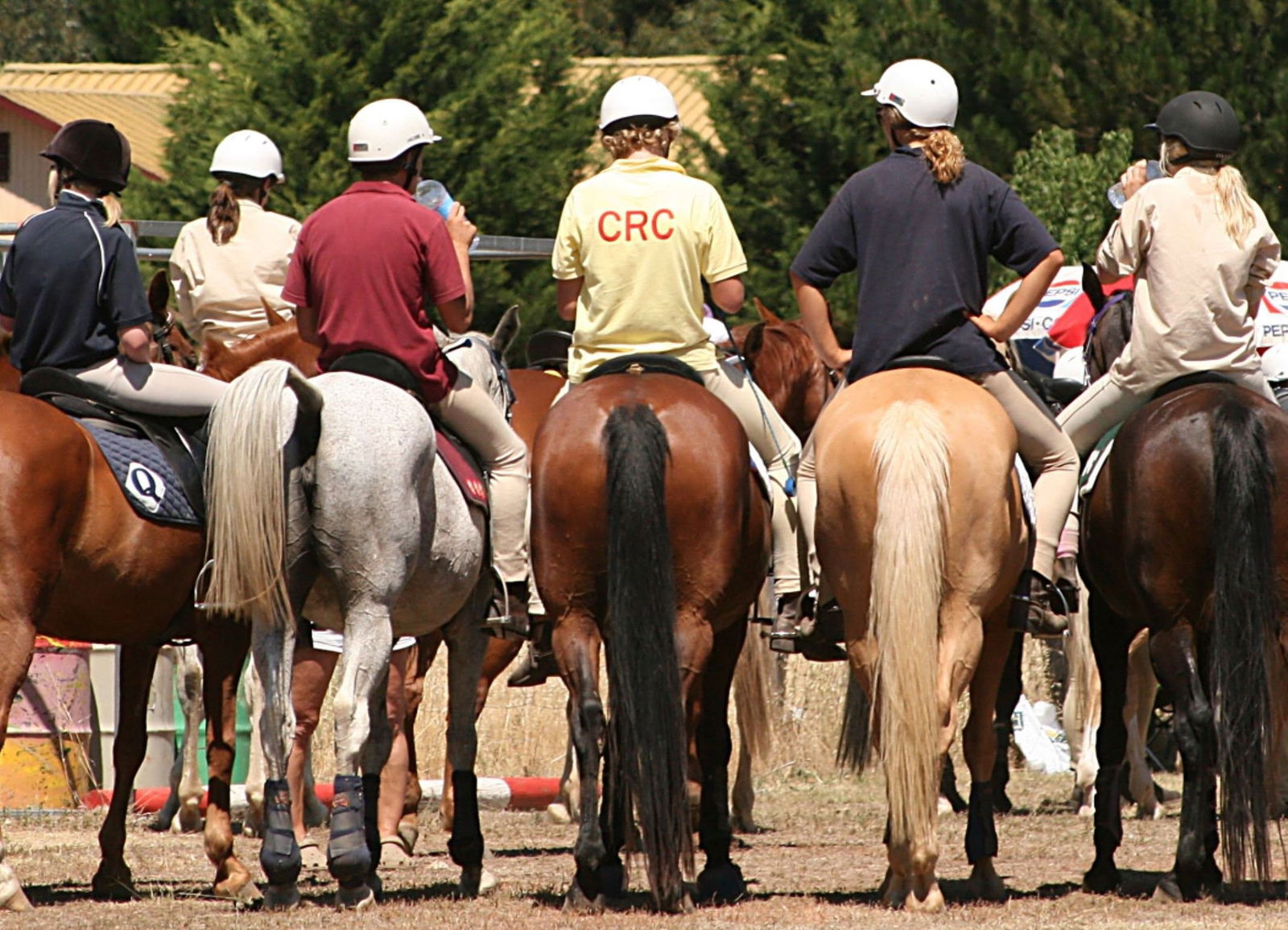 Bredbo NSW Queensland Tourism