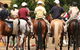 Michelago Pony Club Gymkhana And Sporting Spectacular - thumb 0