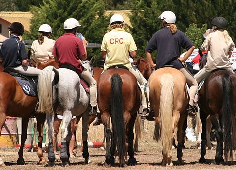 Michelago Pony Club Gymkhana And Sporting Spectacular - Queensland Tourism 0