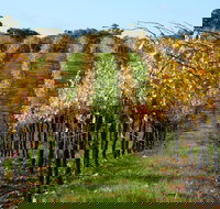 Miners Ridge Wine Tasting - QLD Tourism