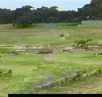 Mount Gambier and District Pony Club Horse Trials 2020 - Queensland Tourism