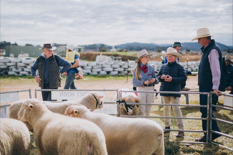 Mudgee Small Farm Field Days - QLD Tourism 0