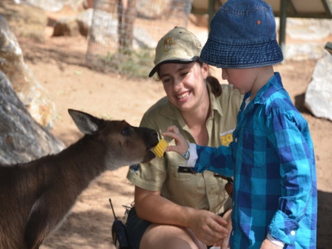 Mums And Cubs! And Dads Too! - QLD Tourism 0