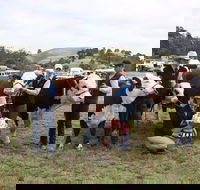 Noorat Show - QLD Tourism