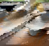 Online live streaming class DIY Clay Hand Building for Beginners - Queensland Tourism